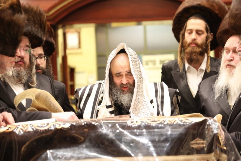 שלומי טריכטר