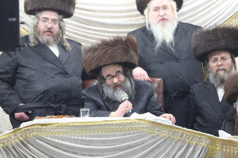 שלומי טריכטר