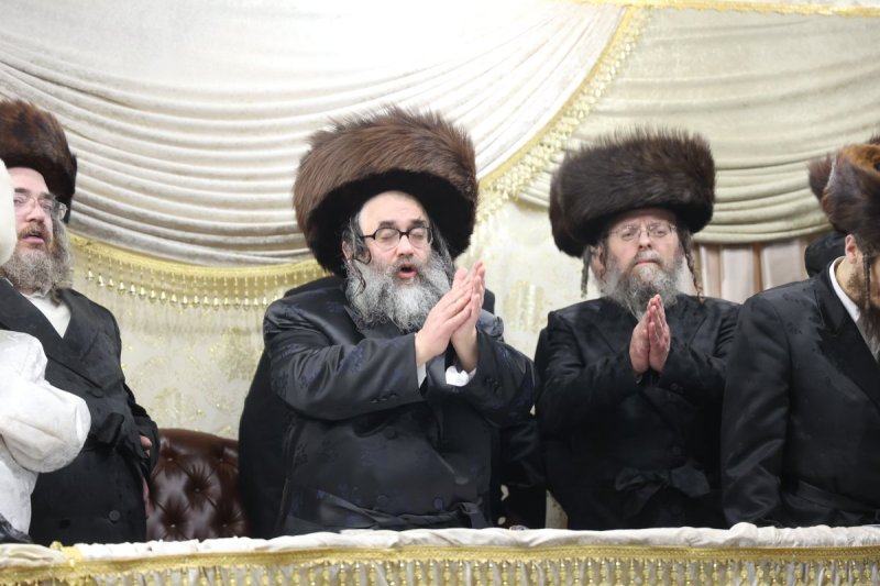שלומי טריכטר