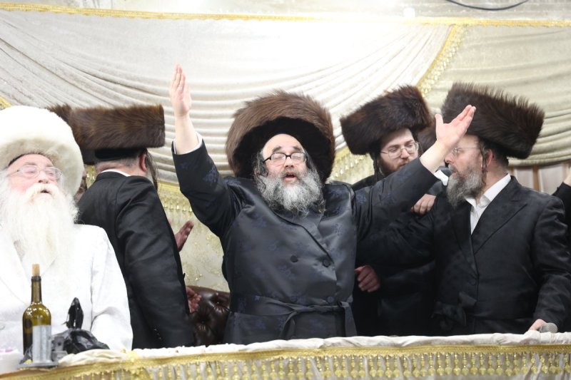 שלומי טריכטר