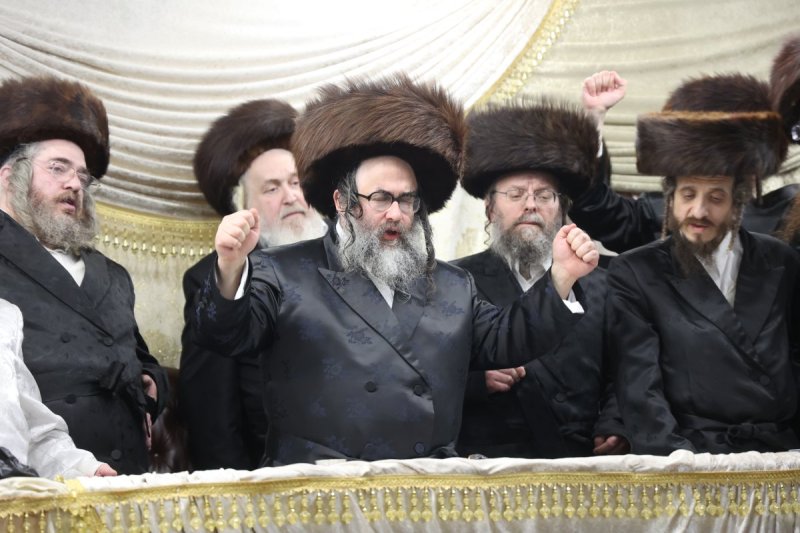 שלומי טריכטר
