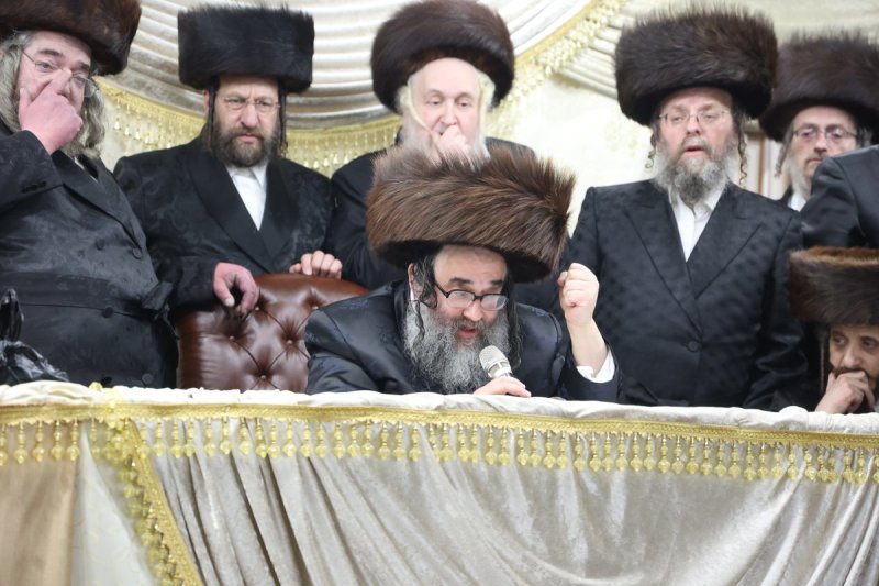 שלומי טריכטר