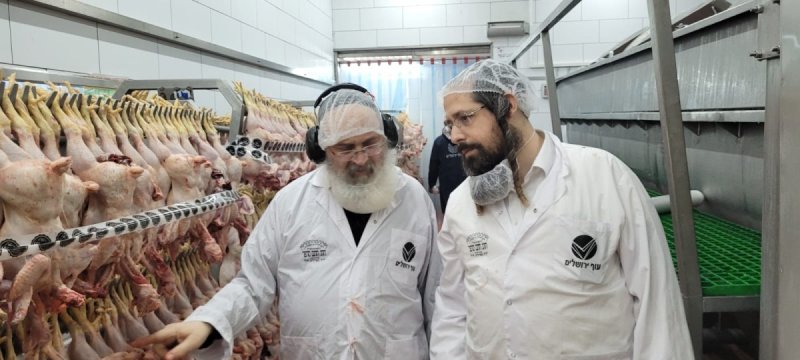 חוג חתם סופר