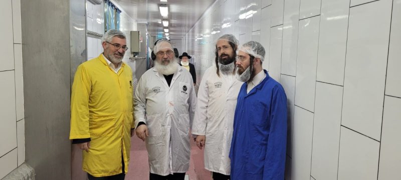 חוג חתם סופר