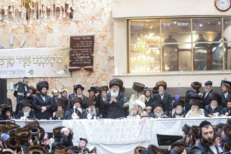 שלומי טריכטר ושוקי לרר