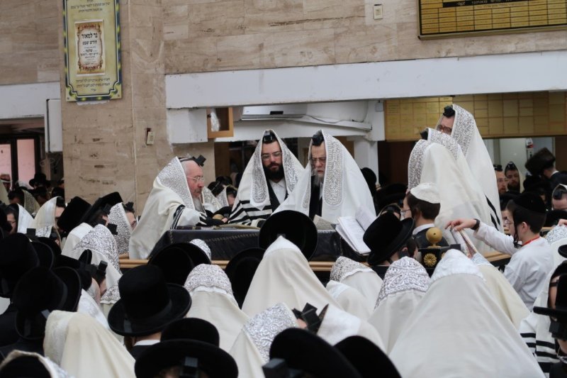 יוסי לוי