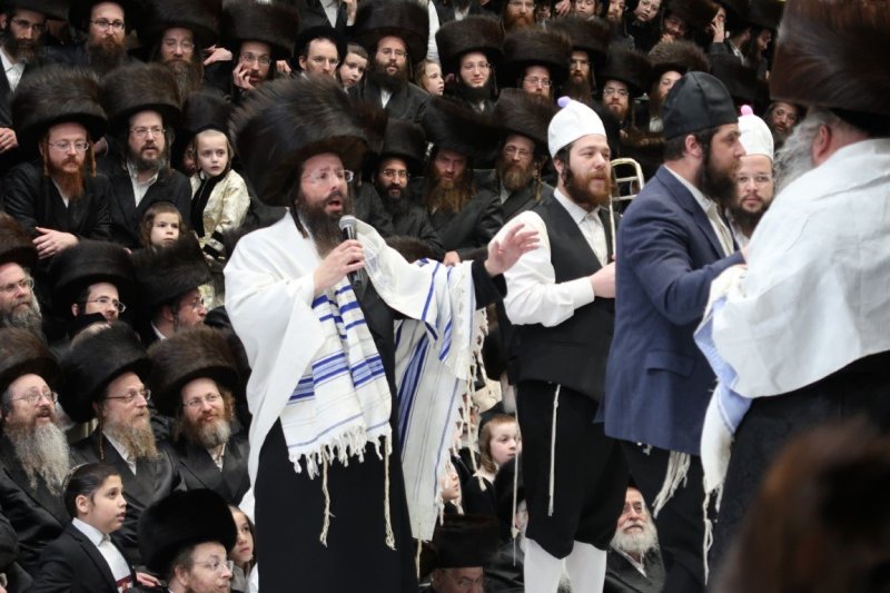 יוסי לוי