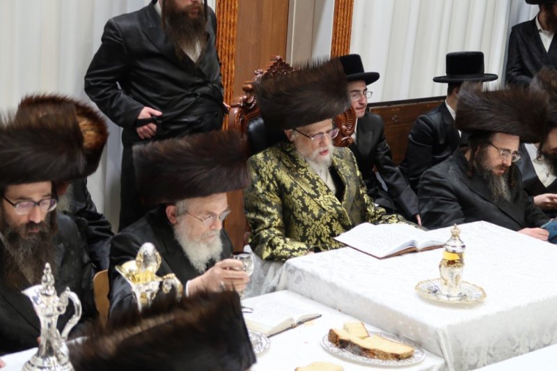 יוסי לוי