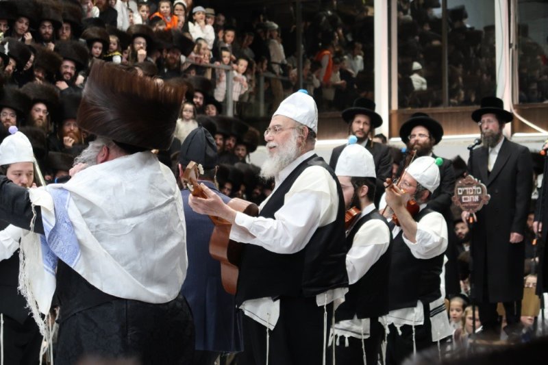 יוסי לוי