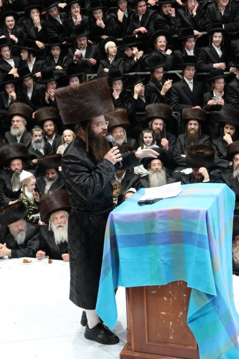 יוסי לוי