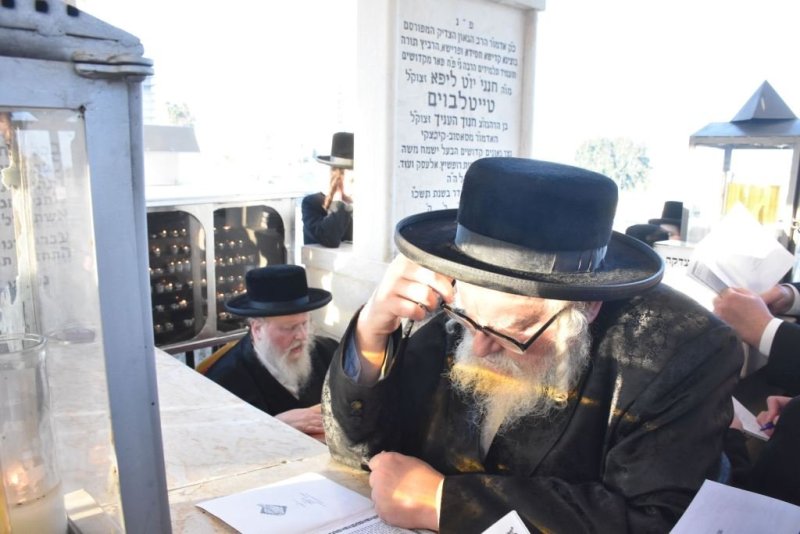 יהודה פרקוביץ
