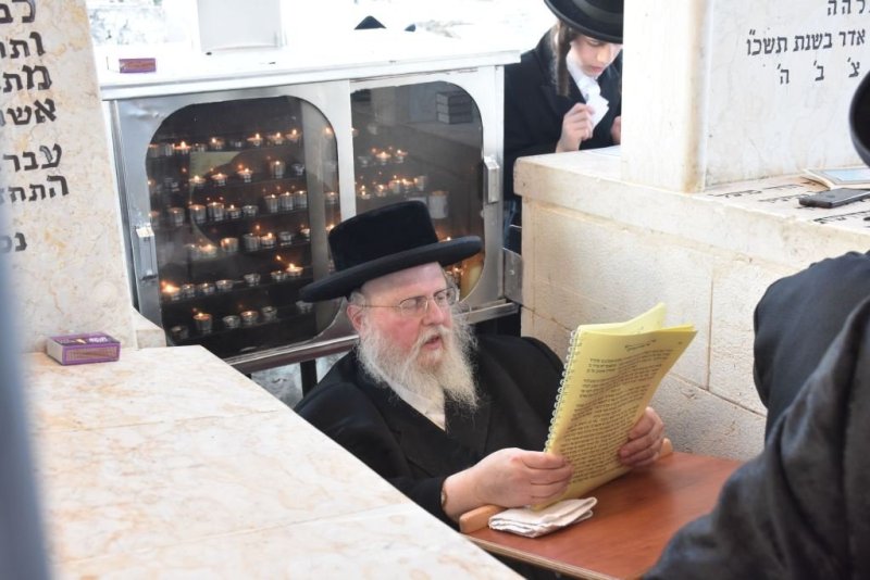 יהודה פרקוביץ