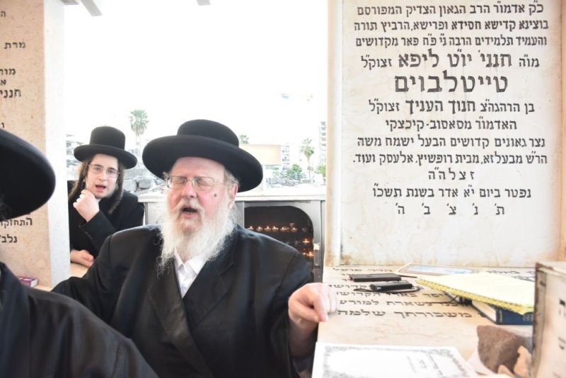 יהודה פרקוביץ