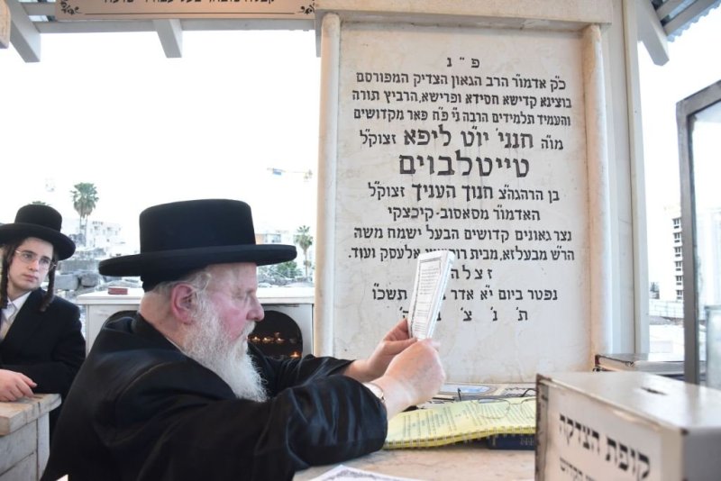 יהודה פרקוביץ