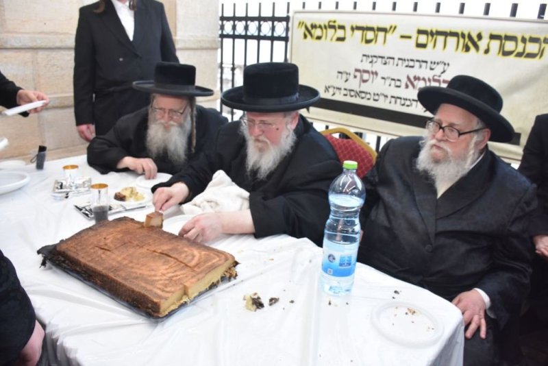 יהודה פרקוביץ