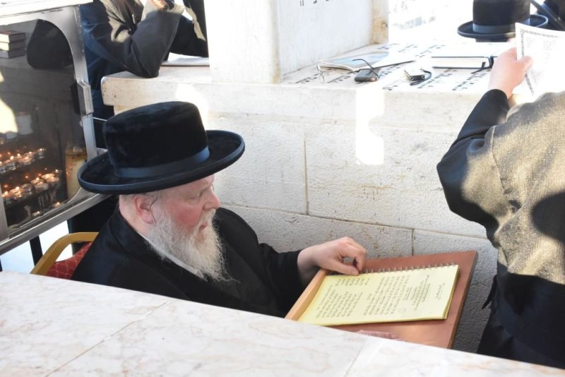 יהודה פרקוביץ