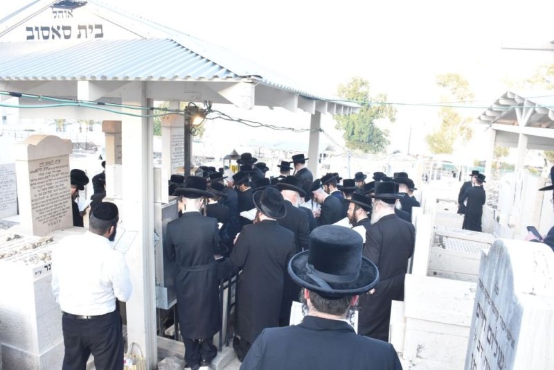 יהודה פרקוביץ