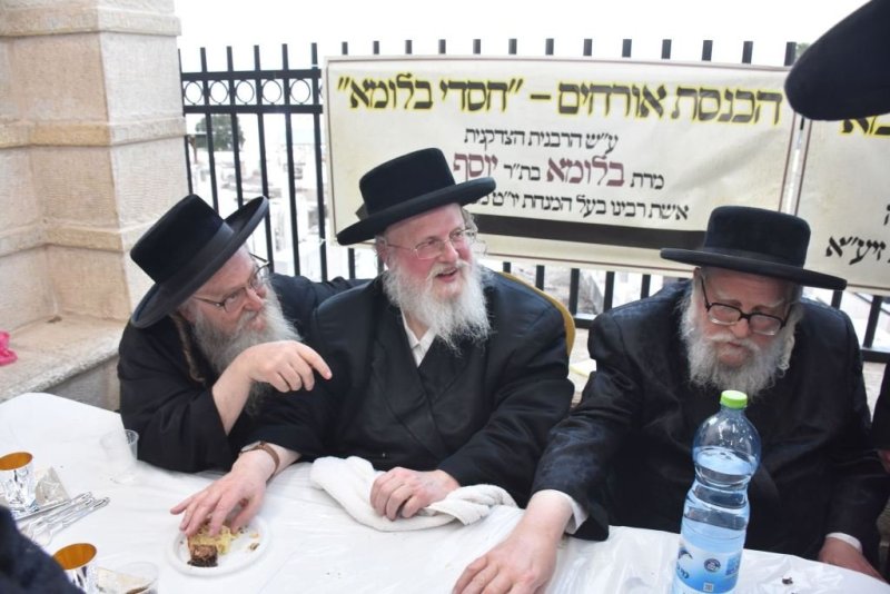 יהודה פרקוביץ