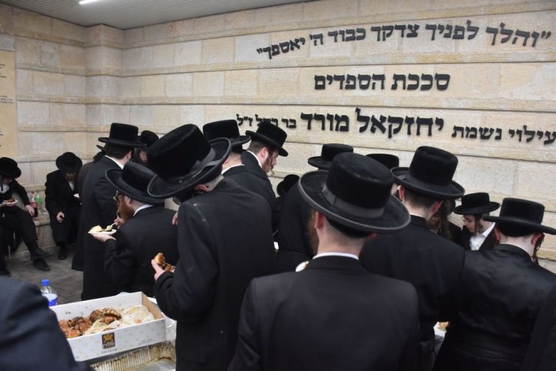 יהודה פרקוביץ