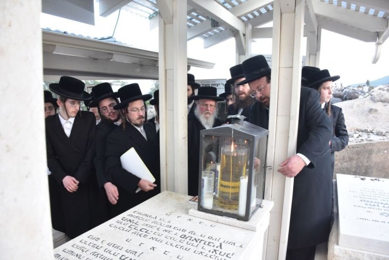 יהודה פרקוביץ