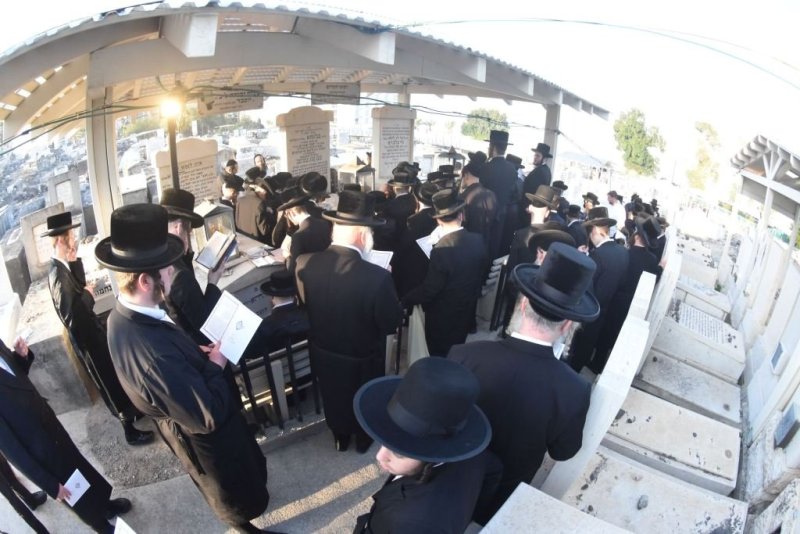 יהודה פרקוביץ