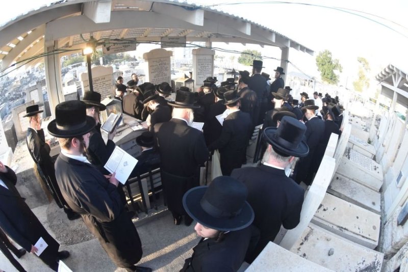 יהודה פרקוביץ