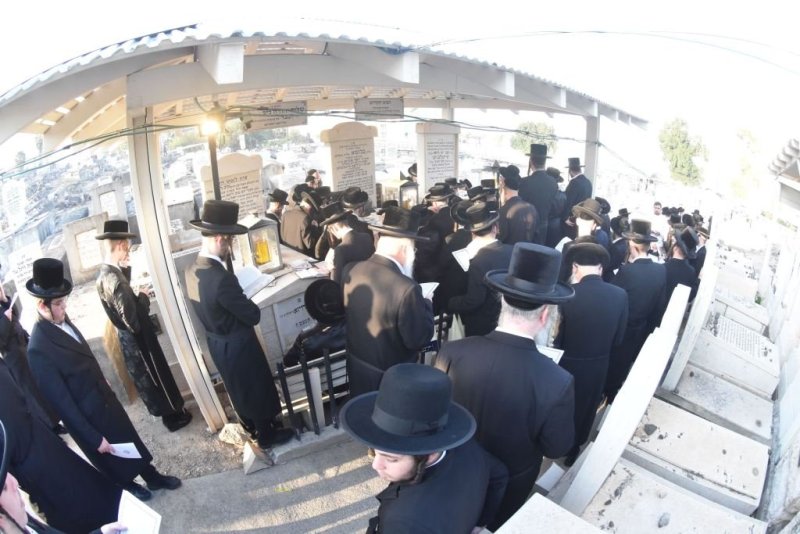 יהודה פרקוביץ