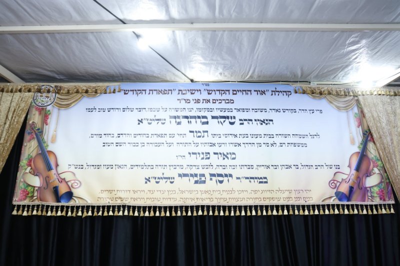 דוד ארזני