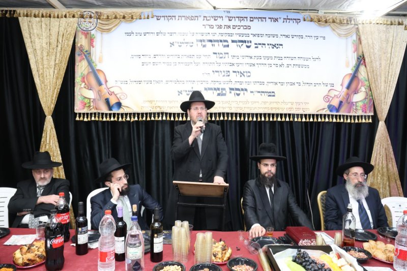 דוד ארזני