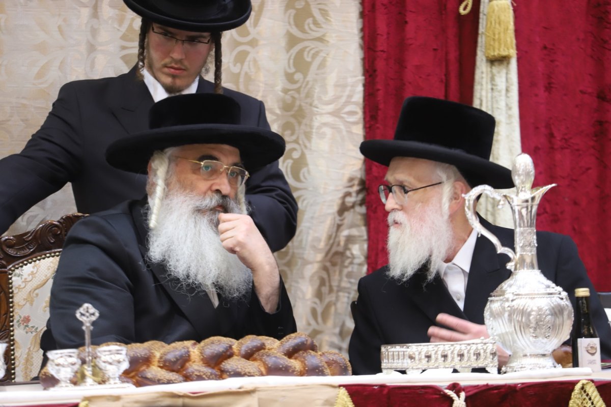 שלומי טריכטר