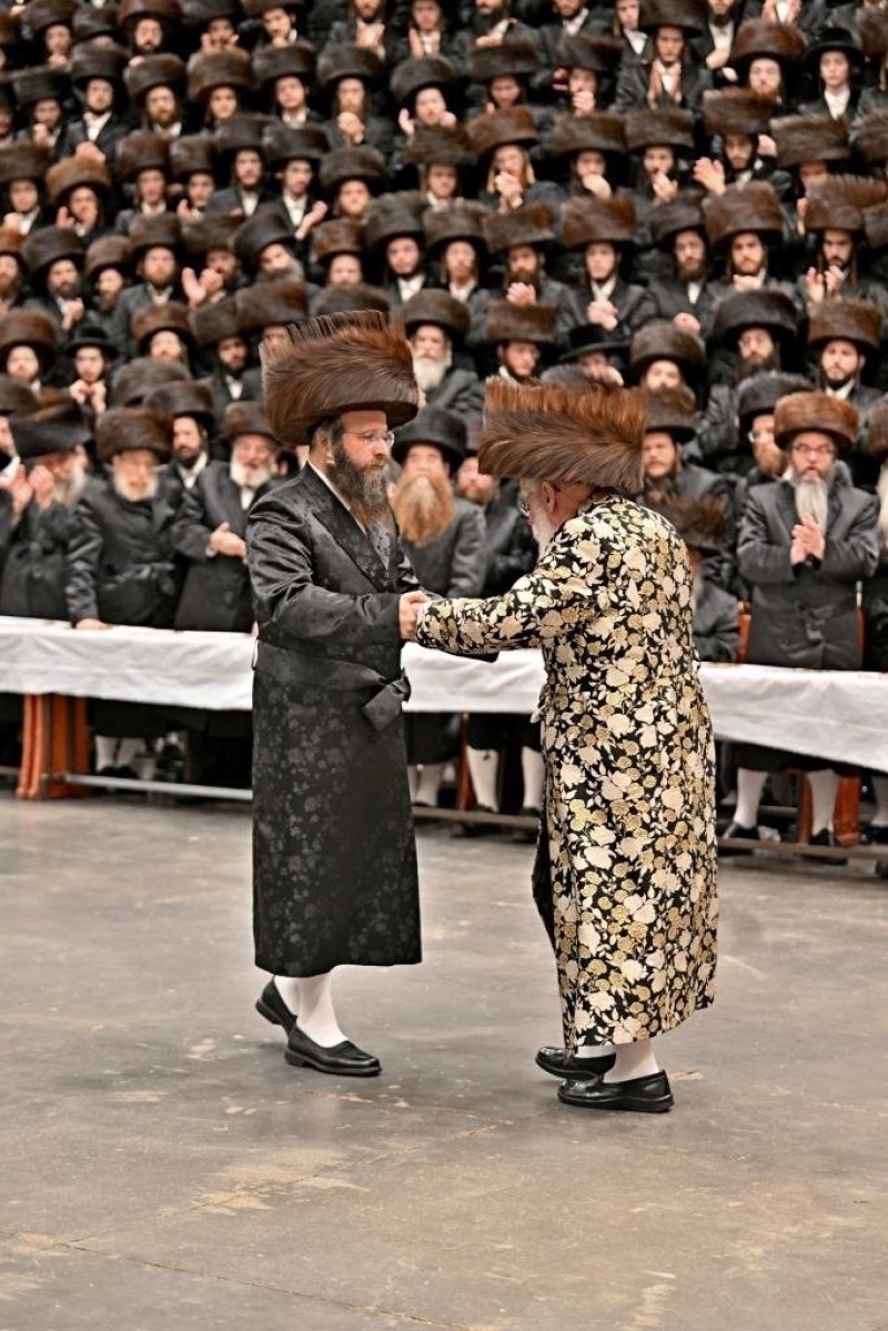 יהושע פרוכטר