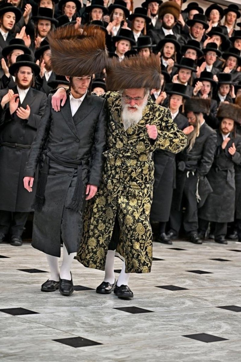 יהושע פרוכטר