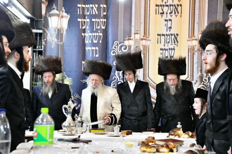 שוקי לרר