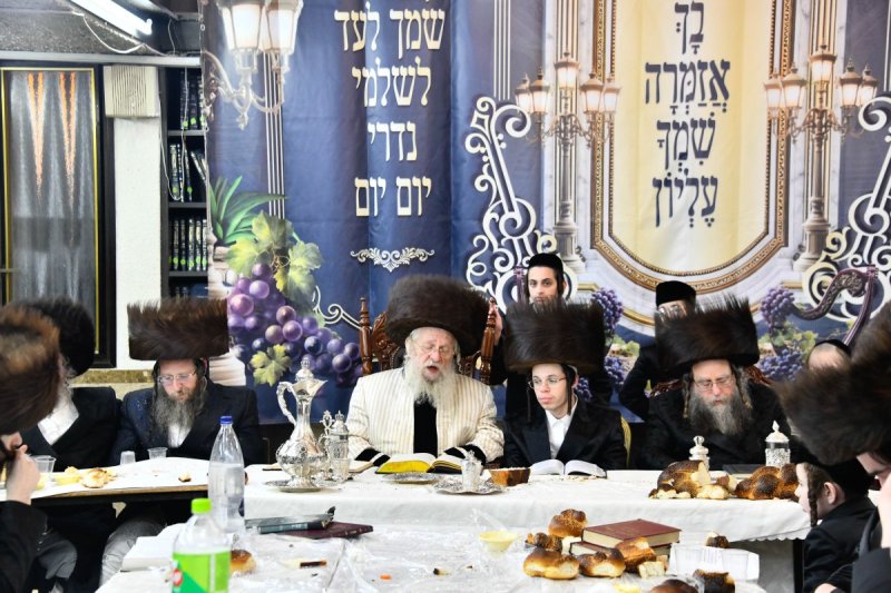 שוקי לרר
