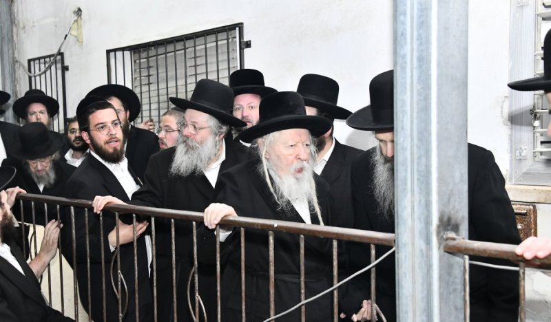שוקי לרר