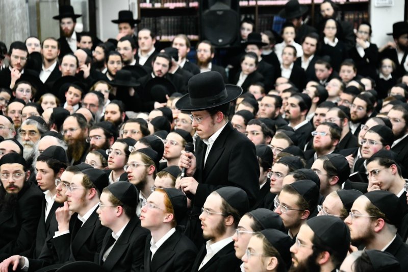 שוקי לרר