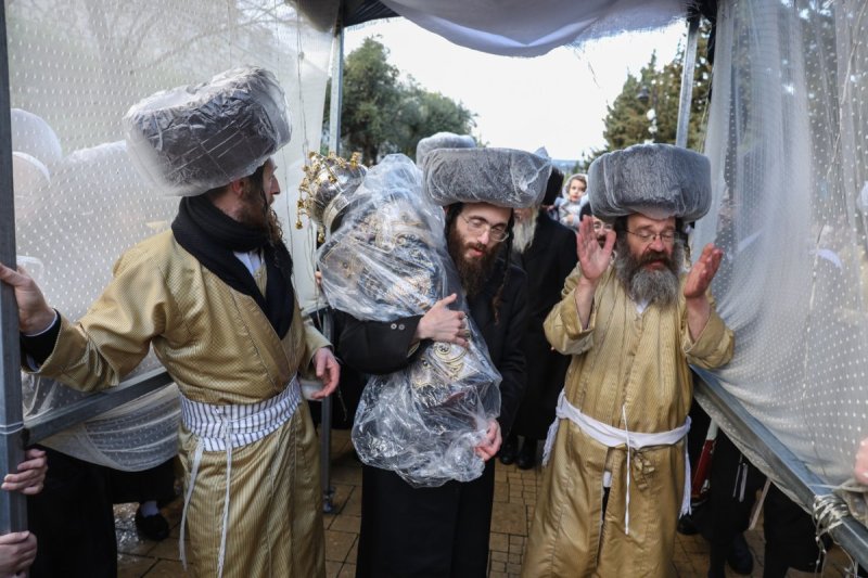 דוד כהן - פלאש 90