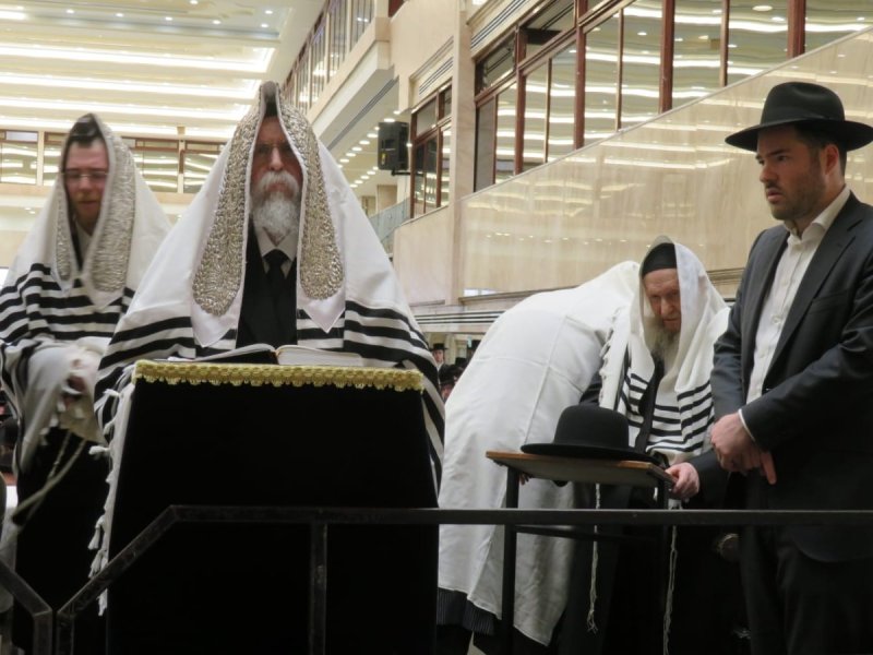 באדיבות המצלם