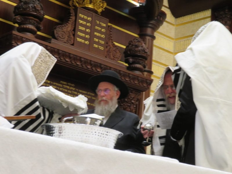 באדיבות המצלם