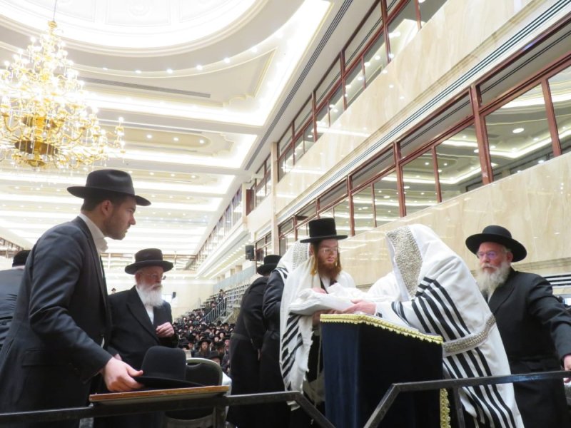 באדיבות המצלם