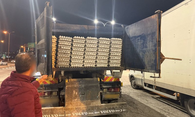 סוכלה הברחת 30,000 ביצים לשטחי המדינה