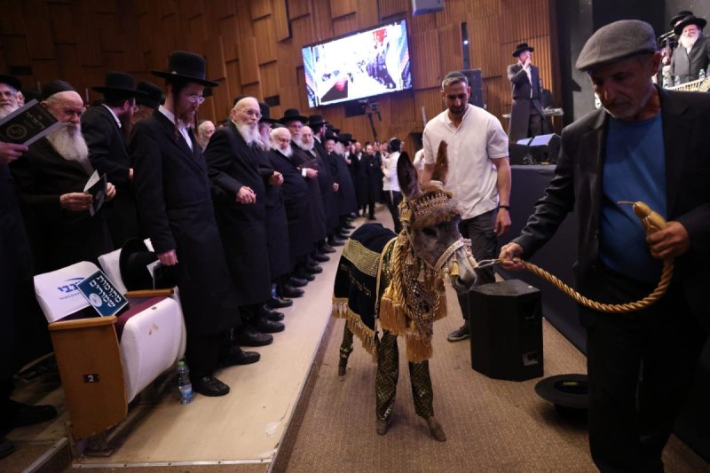באדיבות המצלם