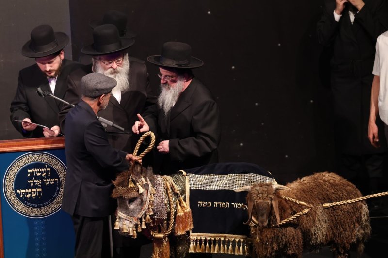 באדיבות המצלם