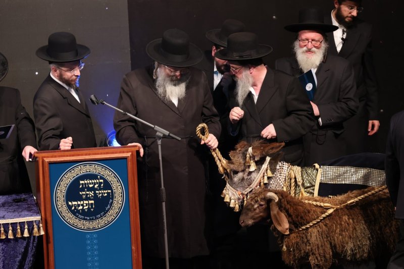 באדיבות המצלם