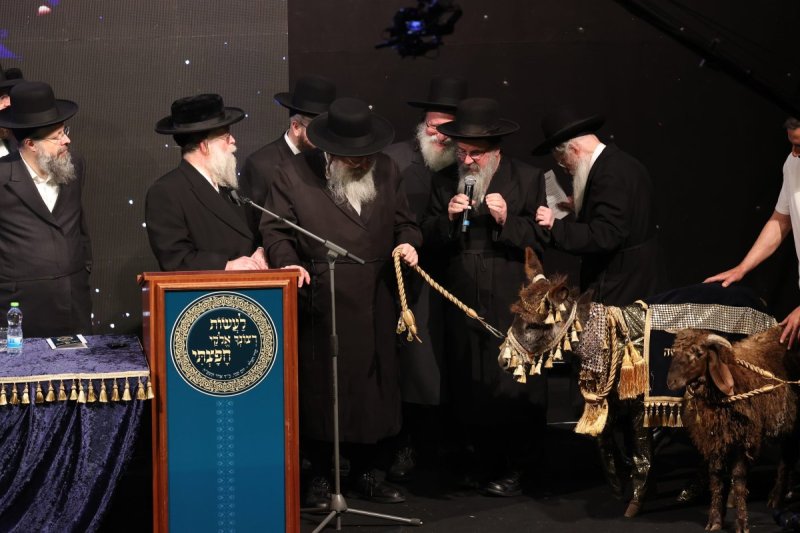 באדיבות המצלם