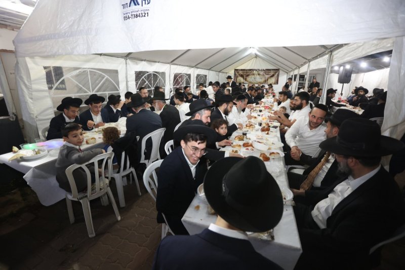 יעקב כהן ושלמה חן