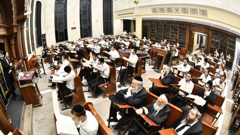 שוקי לרר