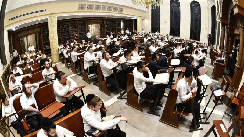 שוקי לרר