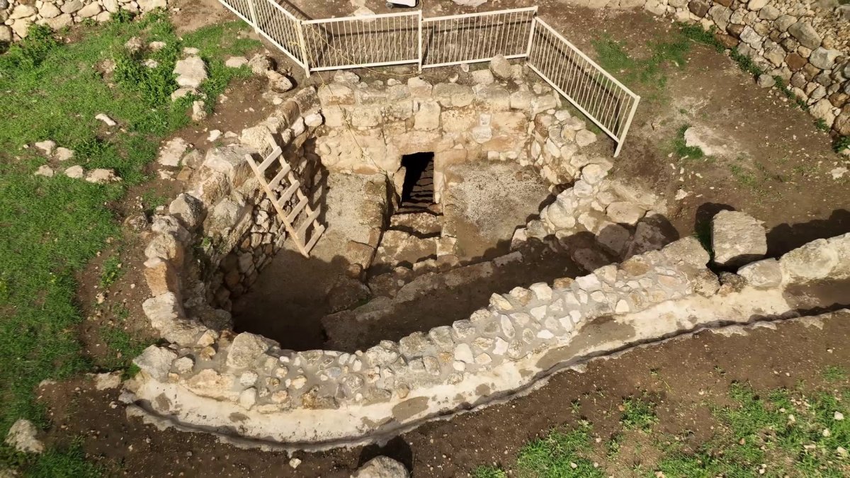 אמיל אלג'ם, רשות העתיקות