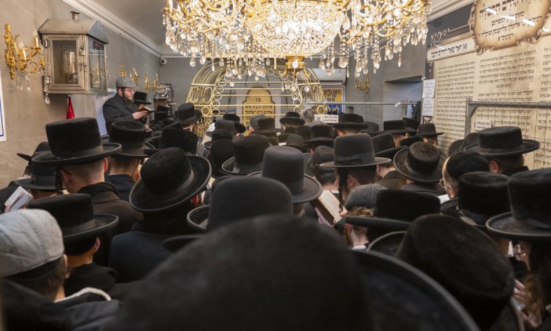 מה לקבוצה ליטאית ולטיש חסידי ? | טורו של ליפא גרוס
